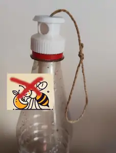 Wasp trap - a trap cap for wasps and hornets on a PET bottle