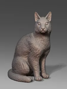 Sitting Cat
