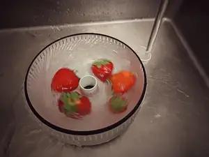 Vortex Fruit Washer (Improved)