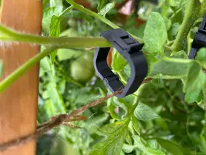 Garden Tomato Vegetable Hinged Clip