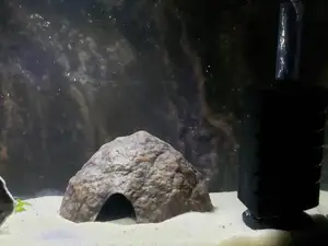 Aquarium Decoration - Textured Coconut Half