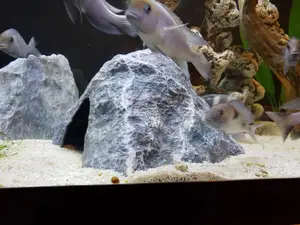 Aquarium Decoration - Textured Rock Cave - Large Tented