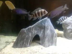 Aquarium decoration - Textured rock cave - Large