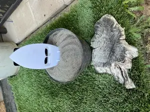 surfboard speaker for phone