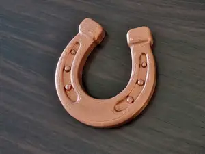 Lucky Horseshoe Magnet