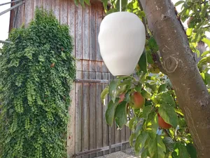 Wespennest-Attrappe / wasp nest dummy