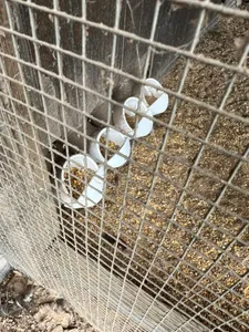 PVC 1/4 cap