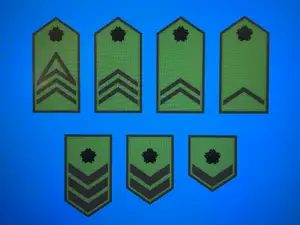 JGSDF Enlisted Ranks (Army)