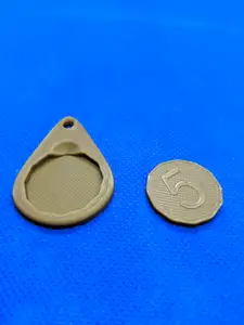 5 Shekel coin with key-chain for supermarket trolley (Israel)
