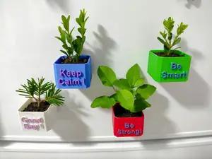 Fridge Magnets - Mini Flower Pots