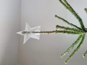 Christmas tree top star