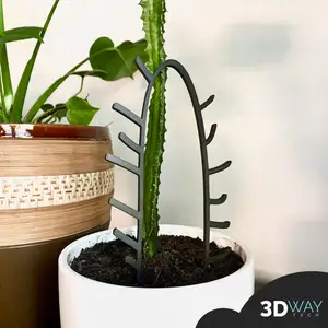 Cactus / plant support