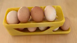 egg dispenser