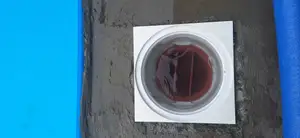 Astral pool filter basket