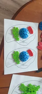 Cell biology for kindergarten (colouring book)