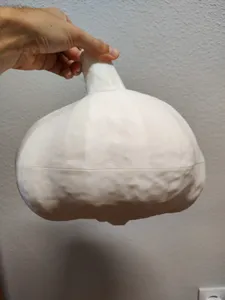Garlic scan - big box with magnets