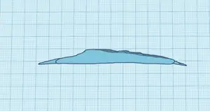 Amphibian Floating Pad