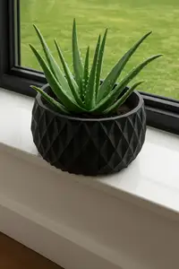 Decorative Flowerpot / Planter