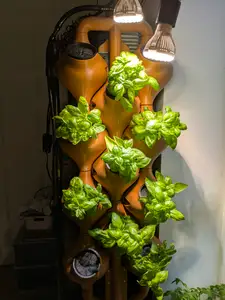 Vertical Hydroponics System (VHS)