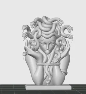 Medusa Bust