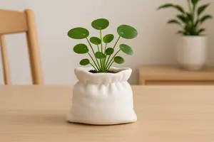 Soft Bag Vase - Botany Chic - Home Decor
