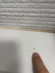 The Rust-Proof Coaster: Shaving Foam Base Cover