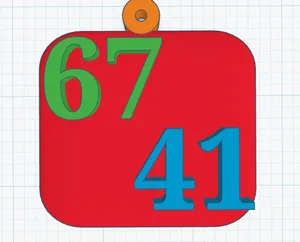 67-41 keychain
