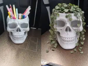 Skull Pen Holder by Day, Plant Pot by Night