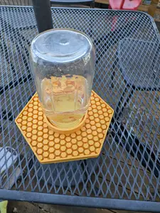 screw on bee watering tray for wide or standard mouth mason jar