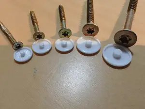 Torx Caps
