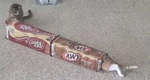 Connector For 12-Pack Cardboard Soda Box Cat Tunnels