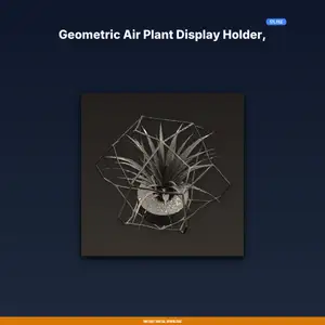 Geometric Air Plant Display Holder, Tillandsia Cradle, Wall Mount - 3D Printable STL File