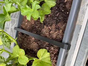 Výztuha/spona na truhlík na květiny/The reinforcement/clip for flower box