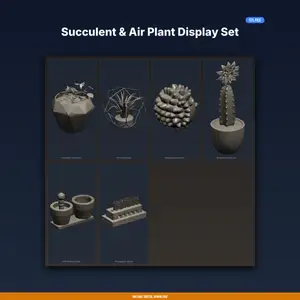 Succulent & Air Plant Display Set - 6-Model STL Bundle