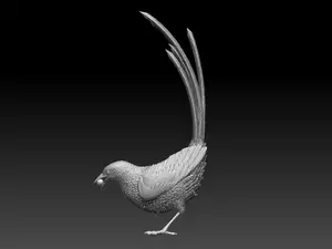 magpie