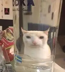 glass with straw