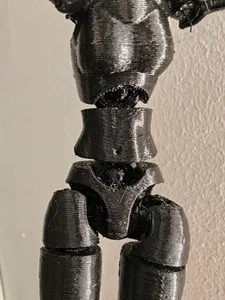 Carbon 13 Female Belly