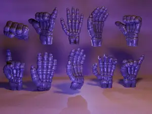 Hand Model Gesture Collection