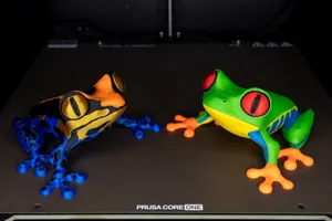 Tree Frog & Poison Dart Frog for INDX