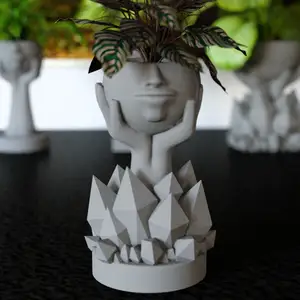 Hands holding flower pots head of cristal