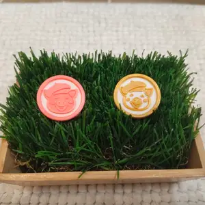 Free Cute Pig Badge with Beret