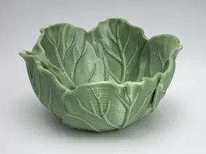 Kohlschale/Cabbage shell