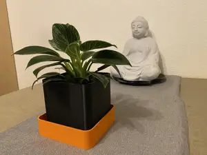 Simple and elegant planter - with tray and spacer to keep the planter cenetered in the tray