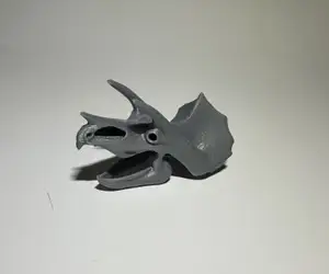 Dinosaur Trizeratops Skull