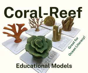 Coral Reef Literacy Classroom Set