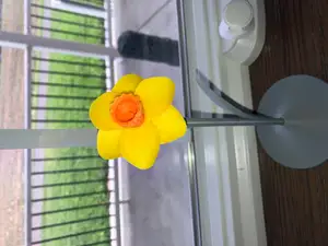 Daffodil with Stem