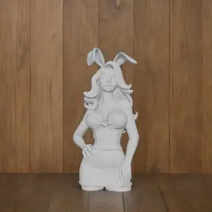 Playboy Sexy Girl
