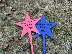 Happy New Year 2026, a magical photo shoot