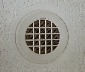 Get rid of pests: Centepede and cockroach blocker for your shower drain