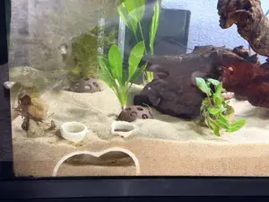 Aquarium Undersand Tunnel & Cove | Fish Hide | 3D Printable | R7Makers